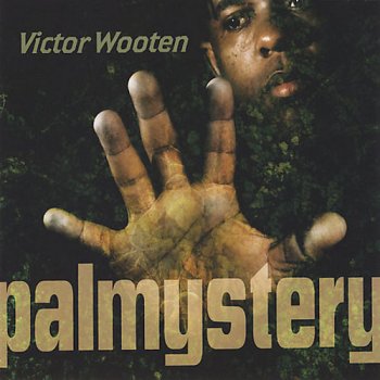 Victor Wooten  - Palmystery (2008)