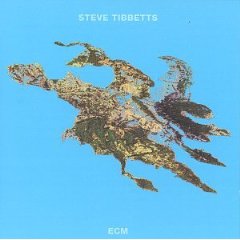 Steve Tibbetts - Big Map Idea (1989)