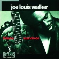 Joe Louis Walker - Blues Survivor (1993)