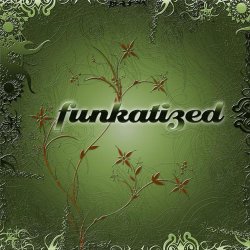 Funkatized - Funkatized (2008)