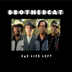 Brothercat - One Life Left (2010)