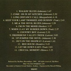 Daniel Larson Band - Roadkill Blues (2001)