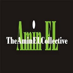Label: The Amin EL Collective Жанр: Jazz, Smooth