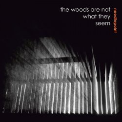 Needlepoint - The Woods Are Not What They Seem (2010)
