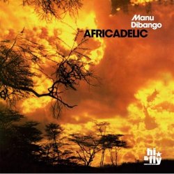 Manu Dibango -  Africadelic (2006)
