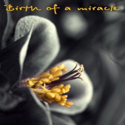 Birth of a Miracle (2011)