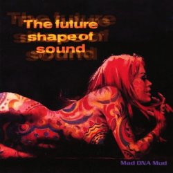 The Future Shape Of Sound - Mad DNA Mud (2004)