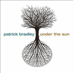 Patrick Bradley - Under The Sun (2011)