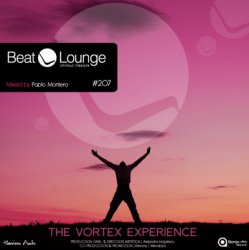 Beat Lounge 207 (2010)