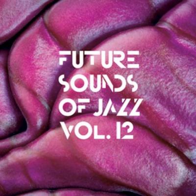 Funure Sounds Of Jazz Vol.12 (2012)