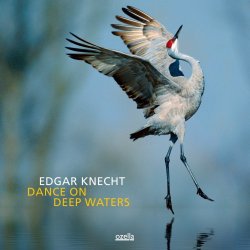 Edgar Knecht - Dance On Deep Waters (2013)