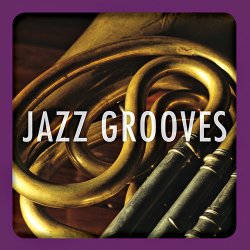 Best of MapleShade Vol.3: Jazz Grooves (2010)