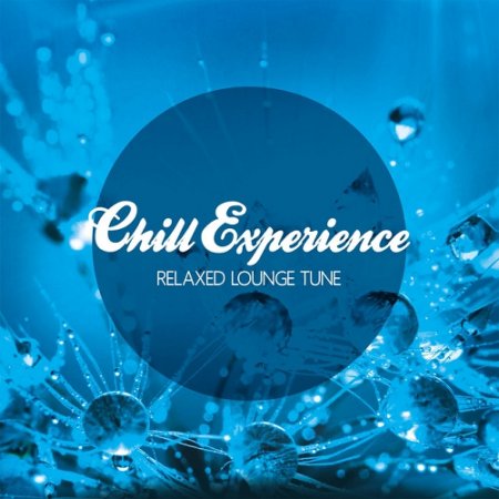 VA - Chill Experience Relaxed Lounge Tune (2015)