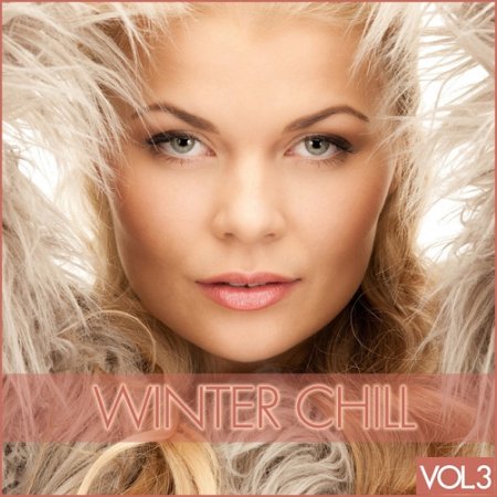 VA - Winter Chill Vol 3 (2015)