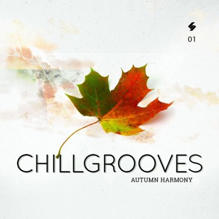 VA - Chillgrooves Vol 1 Autumn Harmony (2015)