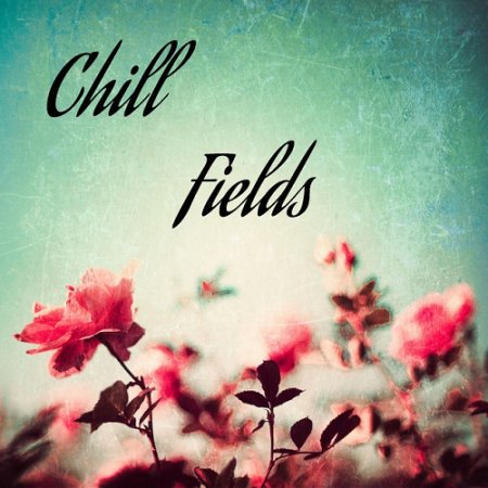 VA - Chill Fields (2015)