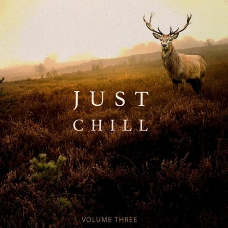 VA - Just Chill Out and Relaxing Music Vol 3 Amazing Chill Out and Ambient Music (2015)