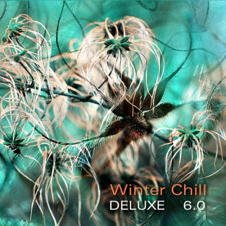 VA - Winter Chill Deluxe 6.0 (2015)