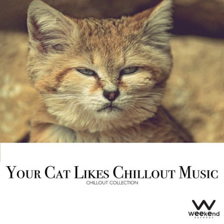 VA - Your Cat Likes Chillout Music Chillout Collection (2015)