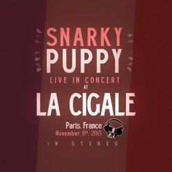 Snarky Puppy - Live In Concert At La Cigale (2015)