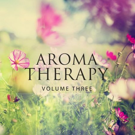 VA - Aromatherapy Vol.3: Best Of Calm Electronic Music (2016)
