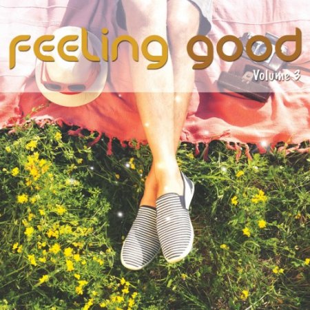 VA - Feeling Good Vol.3 Positive Chill Grooves (2016)