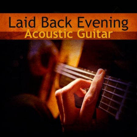 VA - Laid Back Evening: Acoustic Guitar (2016)