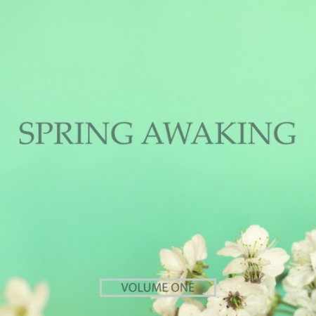 VA - Spring Awaking Vol.1: Finest Selection Of Chill Out and Ambient Music (2016)