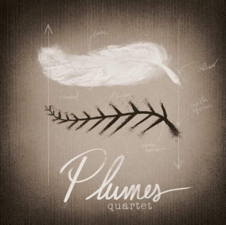 Plumes Quartet - Plumes Quartet (2016)