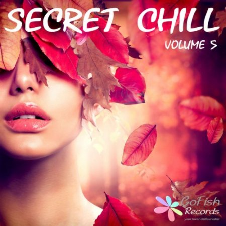VA - Secret Chill Vol.5 (2016)