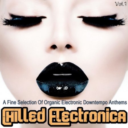VA - Chilled Electronica Vol.1: A Fine Selection of Organic Electronic Downtempo Anthems (2016)