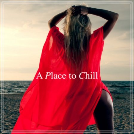 VA - A Place to Chill (2016)
