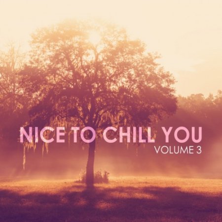 VA - Nice to Chill You Vol.3 (2016)