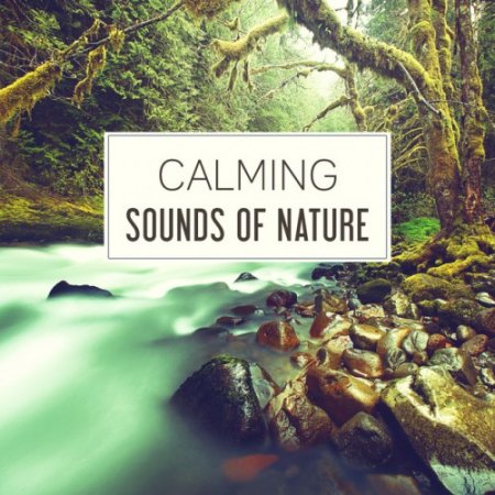 VA - Calming Sounds of Nature: 50 Relaxing Songs for Relaxation, Deep Sleep and Mother Nature (2016)