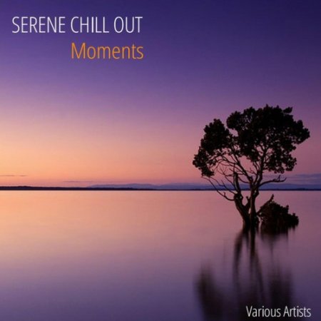 VA - Serene Chill Out Moments (2016)