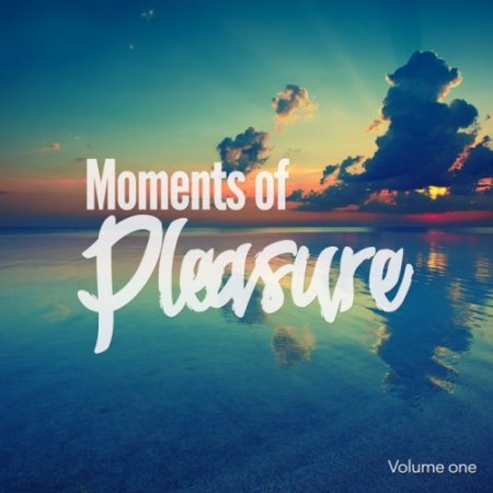 VA - Moments of Pleasure Vol.1: Jazzy and Smooth Chill Out Tunes (2016)