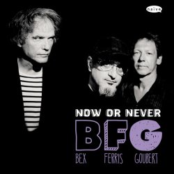 BFG (Bex, Ferris & Goubert) - Now Or Never (2013)