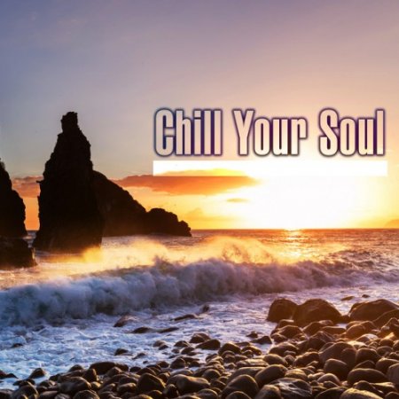 VA - Chill Your Soul (2016)