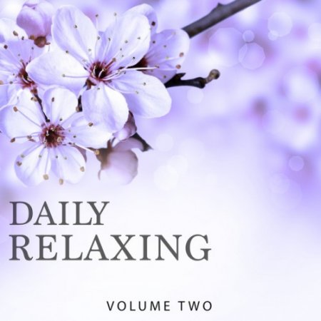 VA - Daily Relaxing Vol.2: Chill Out and Ambient Music In Perfection (2017)