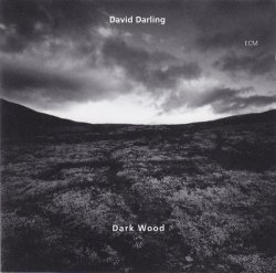 David Darling - Dark Wood (1995)
