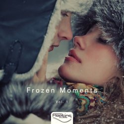 Frozen Moments Vol.1 (2017)