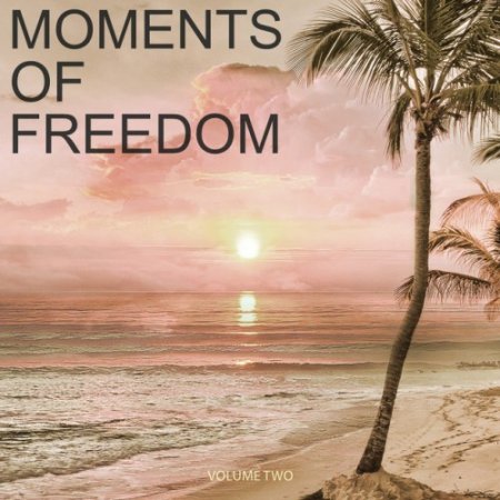 VA - Moments Of Freedom Vol.2: Selection Of Finest Chill Out and Ambient Music (2017)