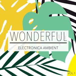 Wonderful Ambient Electronica Vol. 1 (2017)