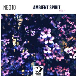 Ambient Spirit Vol 1 (2017)