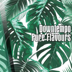 Downtempo Pure Flavours (2017)