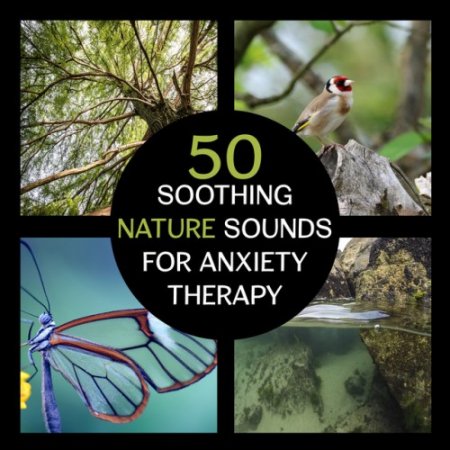 VA - 50 Soothing Nature Sounds for Anxiety Therapy: Peaceful Music to Calm Your Mind (2017)