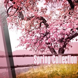 Spring Collection (2017)
