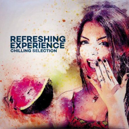 VA - Refreshing Experience Chilling Selection (2017)