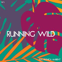 Running Wild Electronica Ambient Vol. 1 (2017)