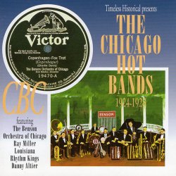 The Chicago Hot Bands 1924-1928 (1997)